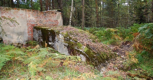 Zdążyć przed Barbórką