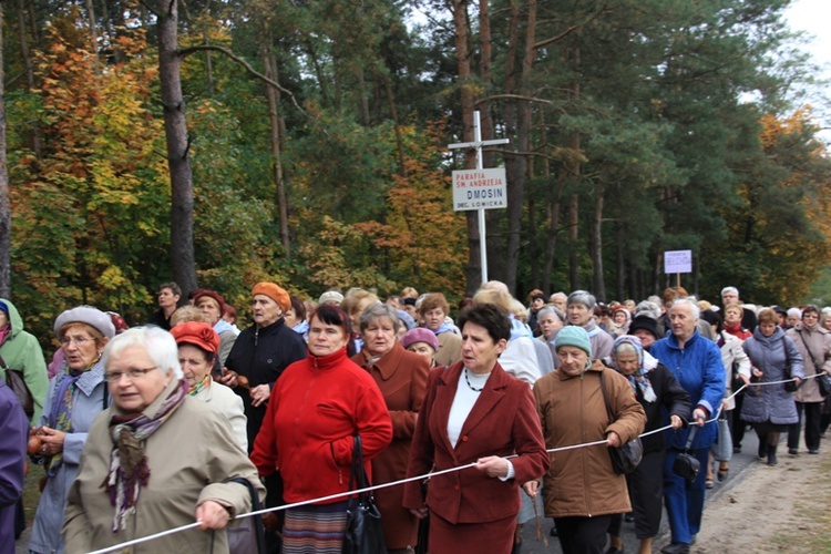 IX Pielgrzykma Kół Żywego Różańca diecezji łowickiej