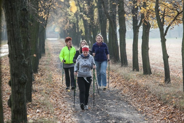 Sport w zasięgu ręki