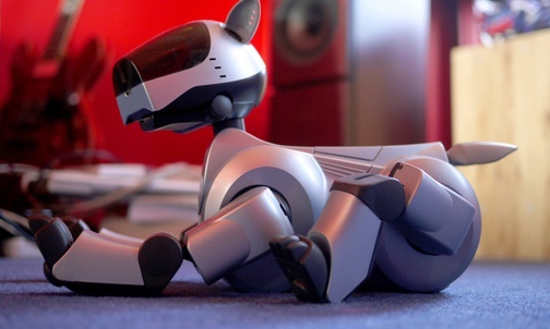 Aibo