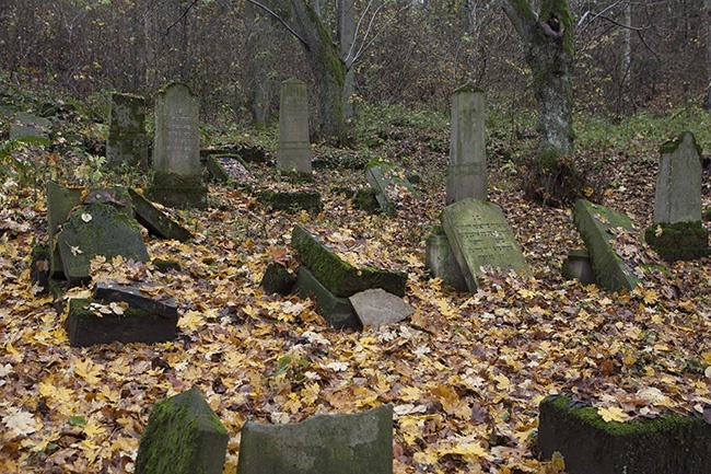 Cmentarz żydowski w Świdwinie