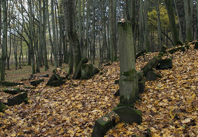 Cmentarz żydowski w Świdwinie