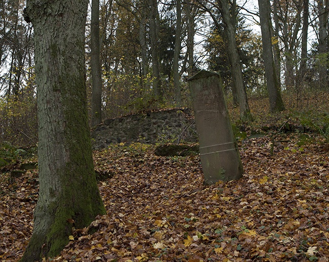 Cmentarz żydowski w Świdwinie