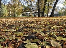  Park, w którego centrum znajduje się plac Polonii z Koszalińską Biblioteką Publiczną, to teren starego cmentarza, czynnego w latach 1819–1926.  Po jego zapełnieniu otwarto nowy cmentarz przy ul. Gnieźnieńskiej