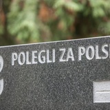 Polegli za Polskę