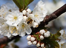 Potęga obrazu i wyobraźni