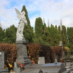 Cmentarz komunalny w Cieszynie