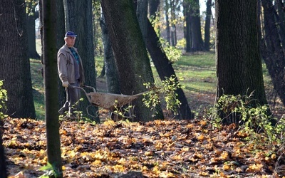 Ostatni dzień października był też ostatnim dniem pracy ekipy remontowej w Ogrodzie Saskim.