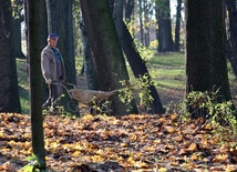 Ostatni dzień października był też ostatnim dniem pracy ekipy remontowej w Ogrodzie Saskim.