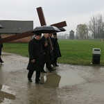 Droga Krzyżowa w byłym KL Birkenau