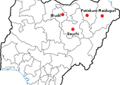 Islamiści zaatakowali orszak ślubny