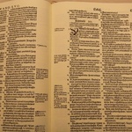 Biblia brzeska