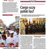 Płocki 46/2013