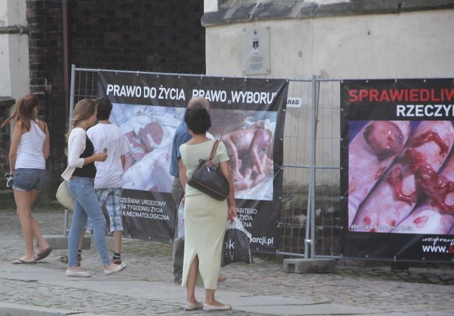 Zostań aktywnym proliferem