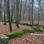 Groby Bismarcków w Warcinie