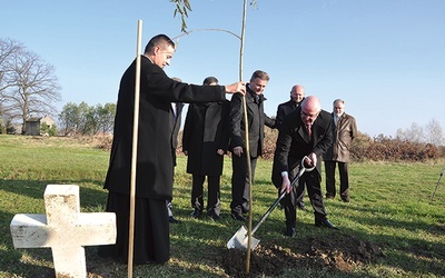  Kolejne drzewo zostało posadzone w alei pamięci w Zabawie 