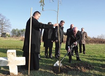  Kolejne drzewo zostało posadzone w alei pamięci w Zabawie 