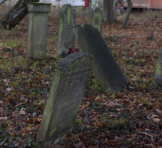 Cmentarz żydowski w Jastrowiu