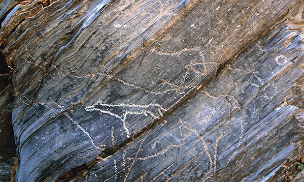 Pies został udomowiony 20 tys. lat temu – dowodem na to są malowidła skalne ze Siega Verde koło Salamanki (Hiszpania)