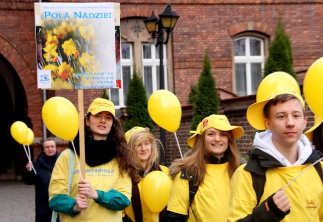 Dzień Wolontariusza w Tarnowie