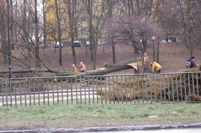 Wichura nad Lubelszczyzną