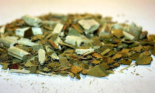 Yerba mate zamiast małej czarnej?