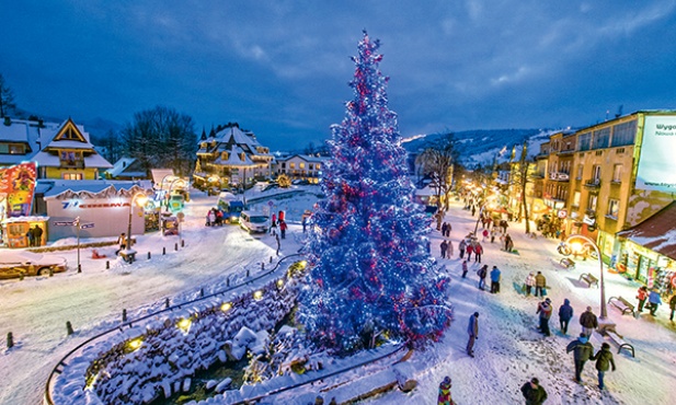 Niech psy i koty gadają