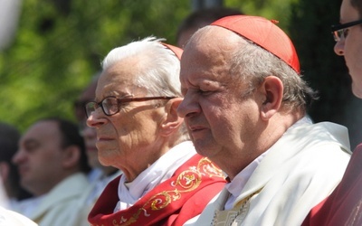 O zdrowie dla kardynała