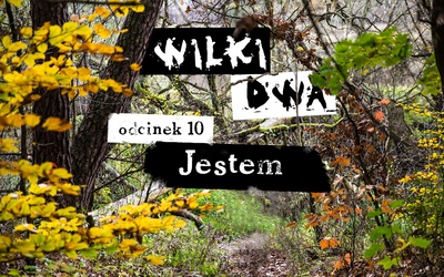 Jestem