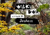 Jestem