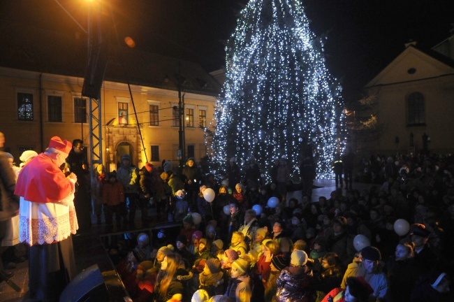 Choinka pod Oknem Papieskim 2013