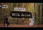 Wilk jeden