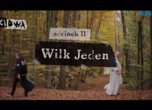 Wilk jeden