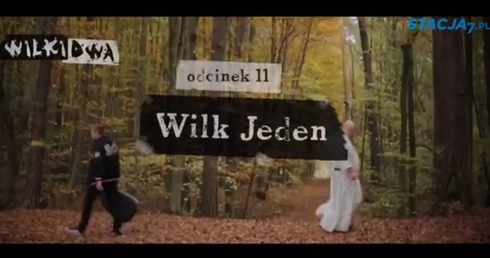 Wilk jeden