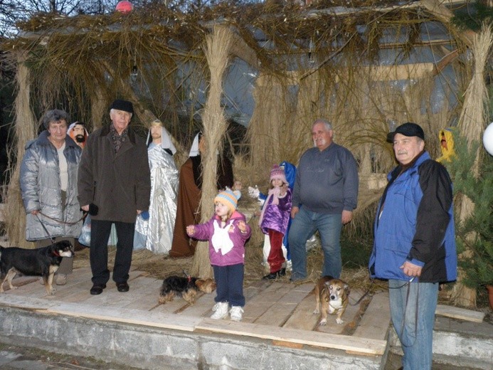 Stajenka w Brzęczkowicach