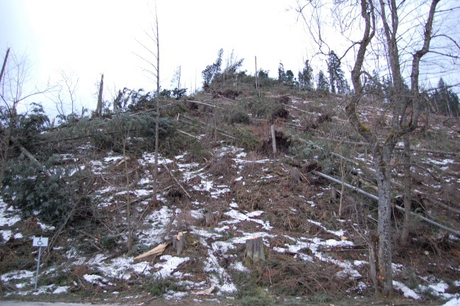 Zakopane po halnym