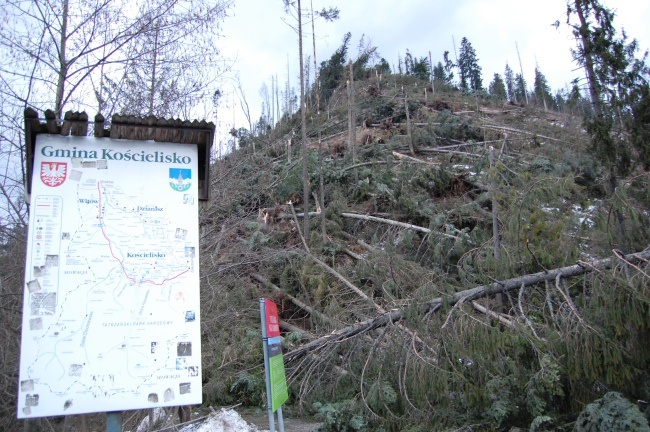 Zakopane po halnym