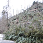 Zakopane po halnym