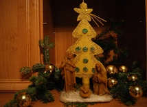 Zdjęcie nadesłane przez Irenę Ciebień z Dębicy 