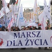  Docieramy wszędzie tam, gdzie dzieje się coś ciekawego. Powyżej jedna z tysięcy fotografii, jakie można znaleźć na stronie internetowej  – pierwszy Marsz dla Życia w Świebodzinie