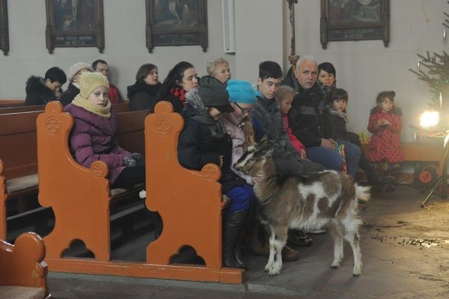 Orszak Trzech Króli w Rzeczenicy