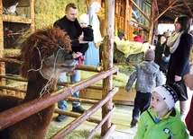 Żywą szopkę w Strumieniu odwiedziło w tym roku  ponad 80 tysięcy osób
