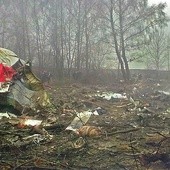 Akta śledztwa smoleńskiego trafią do rodzin?