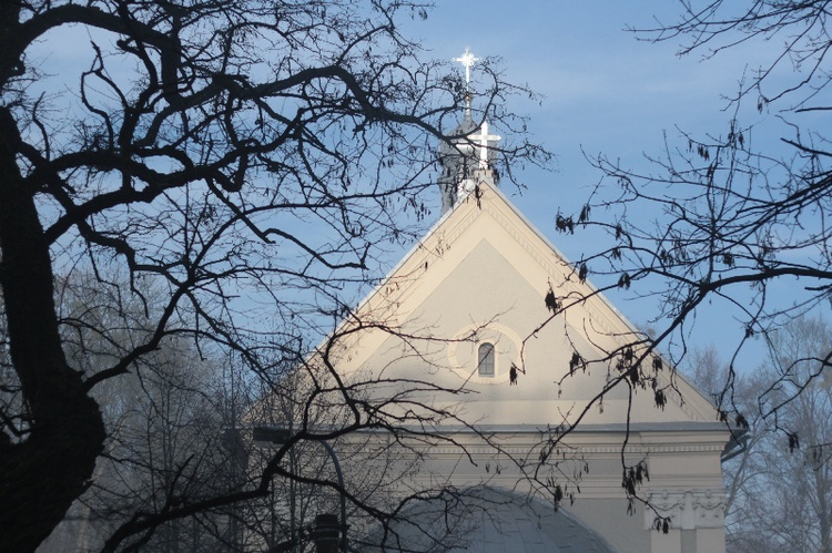 Mgła i światło na Górze Oliwnej w Porębie