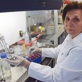 Profesor Zofia Stępniewska z KUL opracowała z zespołem nową metodę pozyskiwania ektoiny