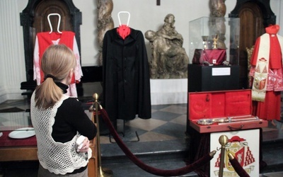 Eksponaty wystawione są w sali barokowej muzeum