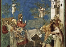Giotto, Wjazd Chrystusa do Jerozolimy
