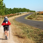 Camino Aragońskie i Francuskie