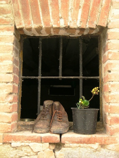 Camino Aragońskie i Francuskie