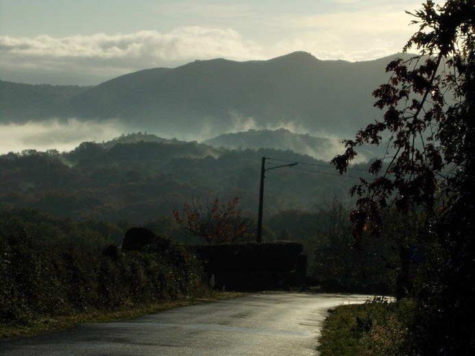 Camino Fonseca